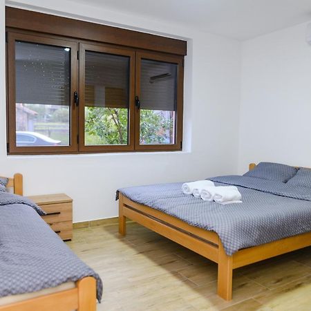 Apartman Dina Сокобаня Экстерьер фото