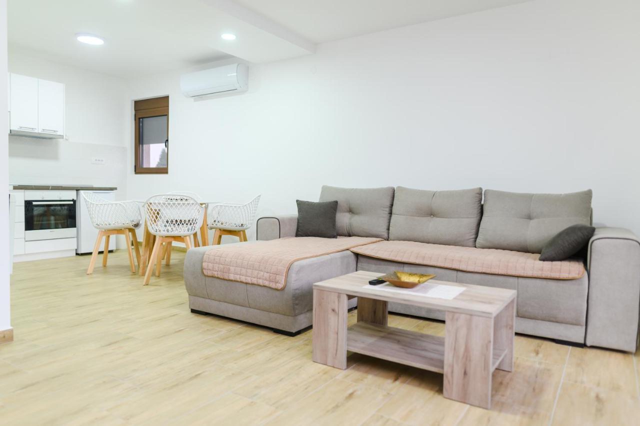 Apartman Dina Сокобаня Экстерьер фото